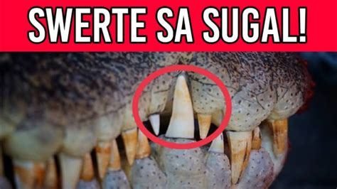 ⭐10 Lucky Charms na Swerte sa Sugal na Dapat ay Dala Dala .